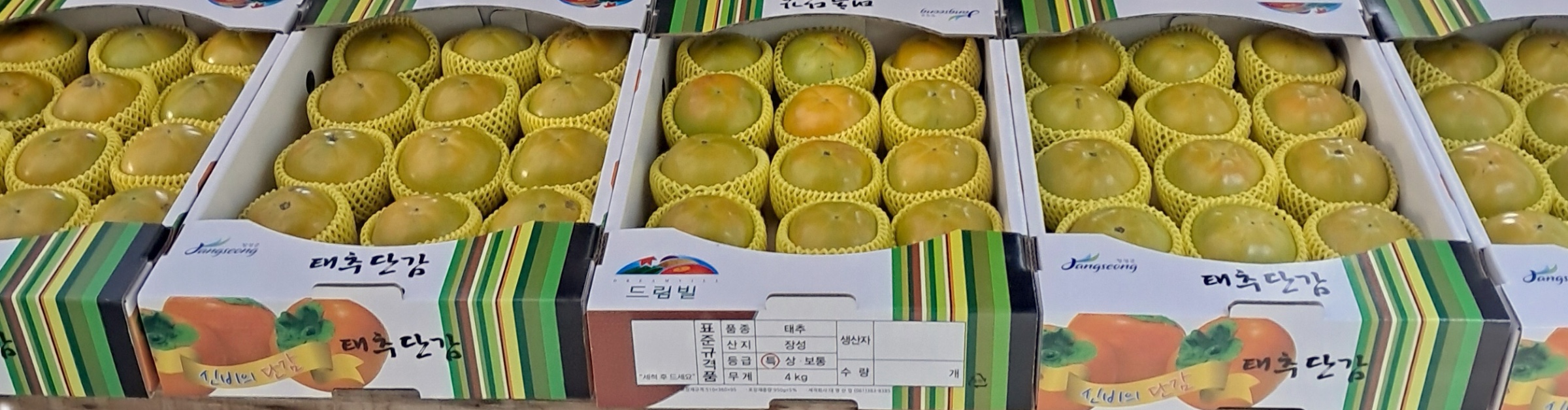 망에 싸서 박스에 담긴 장성 태추단감